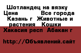 Шотландец на вязку › Цена ­ 1 000 - Все города, Казань г. Животные и растения » Кошки   . Хакасия респ.,Абакан г.